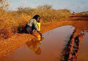 Somali Drought source network.Earthday.net (15K)