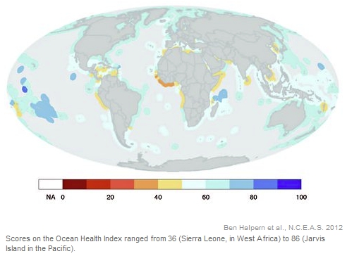 OceanHealth (87K)