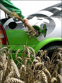 BiofuelCar (36K)