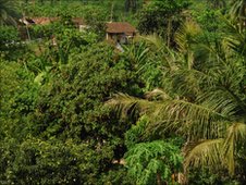 theVillage (17K)