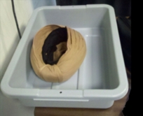 turban_bin (20K)
