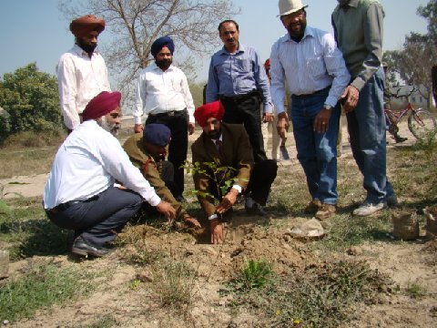 PlantingTrees (61K)