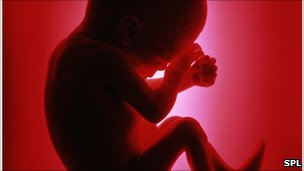 babyfoetus (7K)