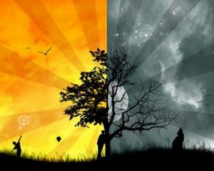 duality (15K)