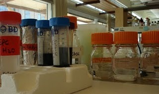 Lab2 (20K)