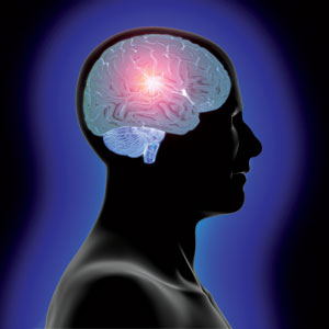 memorybrain (13K)