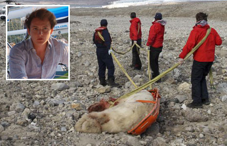 the-dead-polar-bear-inset-victim-horatio-chapple (52K)