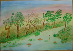 Nature (28K)