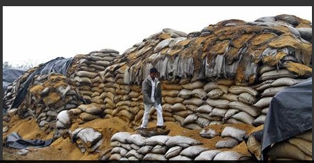 PunjabFarmer (100K)