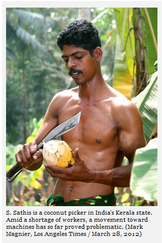 CoconutPicker (155K)