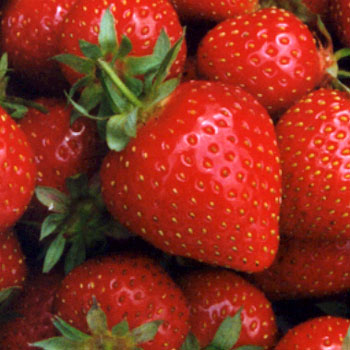 strawberry (37K)