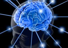 hsthebrain (10K)