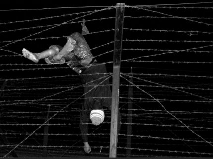 BarbedWire (31K)