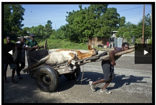 PeopleTransport (74K)