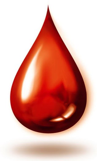 BloodDonation (16K)