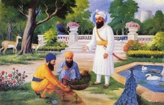 GuruHarRai (47K)