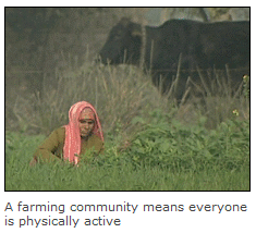 FarmingComm (32K)