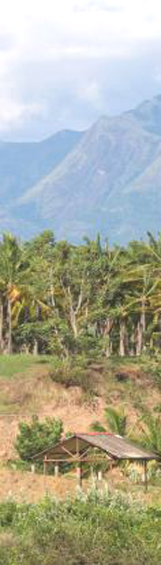 Madurai-a (76K)