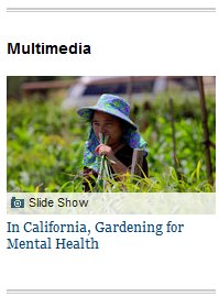 Multimedia (15K)