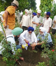 sgpc plantation (34K)