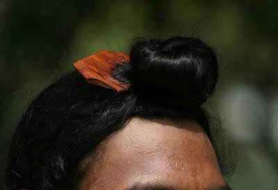 hair (28K)