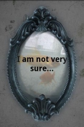 mirror-am-i-the-prettiest-v2-140040-2-s-307x512 (21K)