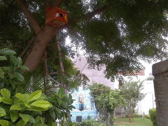 Radhe krishan mandir ranikabagh (298K)