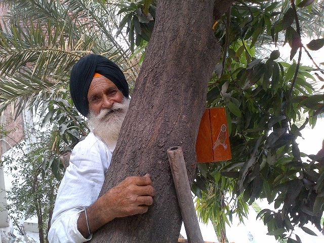 Sardar Dara Singh Bird house maker (296K)