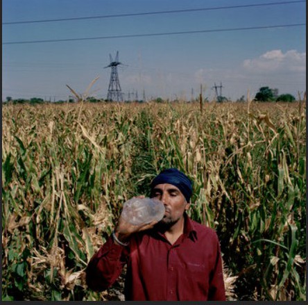 JasgirSekhon (66K)