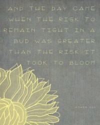 anais-nin-quote (13K)