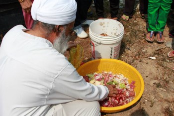 Composting (28K)