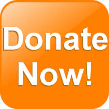 DonateButton (13K)