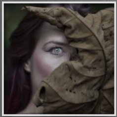 Liar-Hdr (10K)
