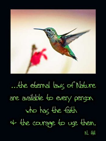LawsOfNature (26K)