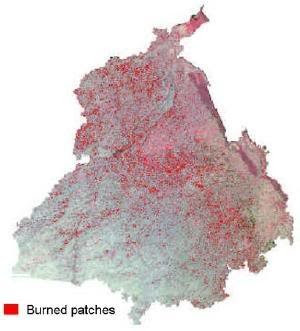BurnedPatches (21K)