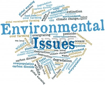 environmental-issues (56K)