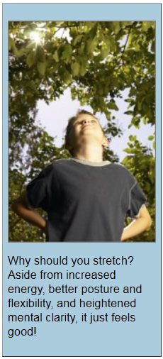 WhyStretch (31K)