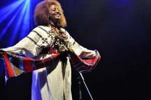 Krar-Collective.Ethiopia.edit_-300x199 (11K)
