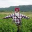 Dr. Tarlok Singh Sahota