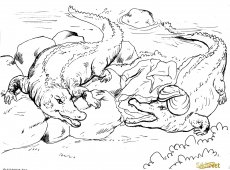 The Crocodile and the Priest | SikhNet