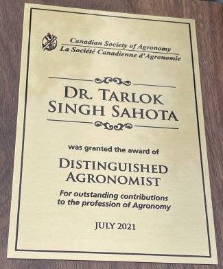 Award Plaque.jpg