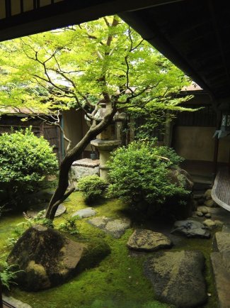 enclosed zen garden.jpg