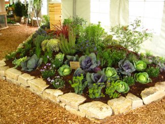 home garden Ediblelandscaping.jpg