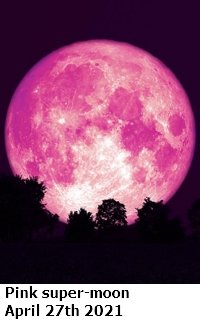 pink supermoon.jpg