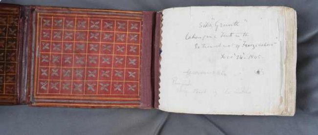 Manuscript 3 opening.jpg