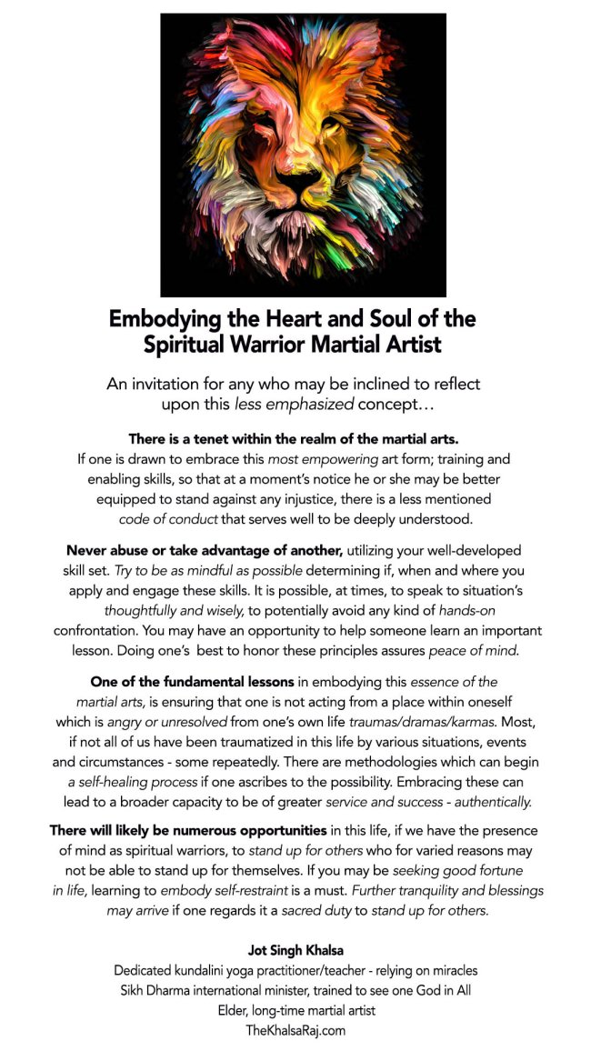 SWMartialArtist1.jpg