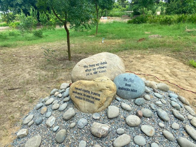 baag 2 Stones at EcoSikh Garden.jpg