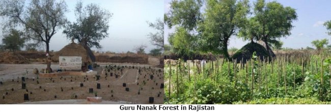 guru nanak forest in rajistan text.jpg