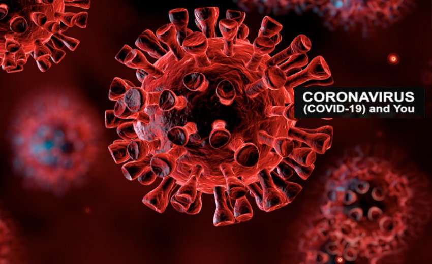 COVID-19 (Coronavirus) ~ Preparedness and Tips | SikhNet