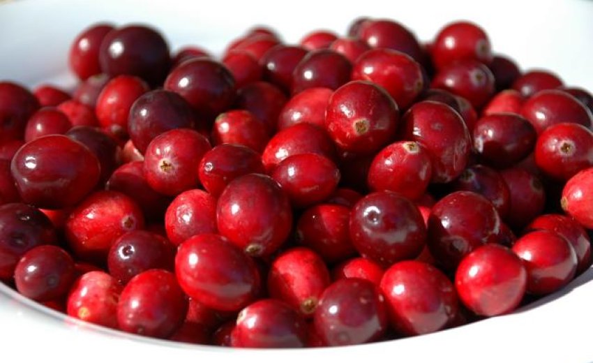 The Remarkable Antioxidant Power of Cranberries ­­and Three No­ Cost